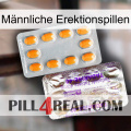Männliche Erektionspillen new12